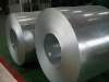 hot-dipped galvanized steel coil/strip