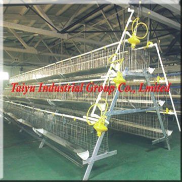 Egg Laying Chicken Cages