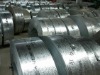 Supply Galvanzied Steel Strips&Coils