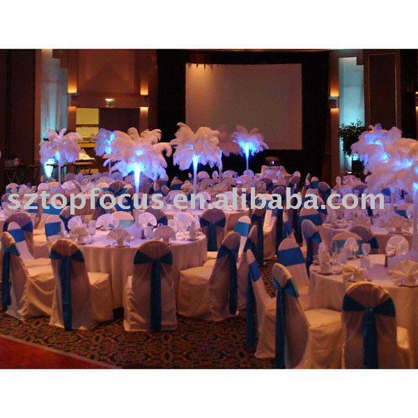 Wedding Centerpieces by Ostrich Feather Plume