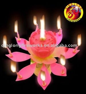 Fancy Birthday Cakes on Birthday Cake Candles Firework Photo  Detailed About Birthday Cake