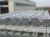 hot dipped galvanized steel pipes/tubes