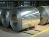 Hot Dipped Galvanized Steel coils/HDGI