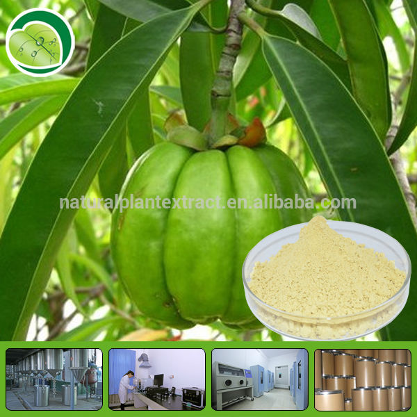 garcinia cambogia