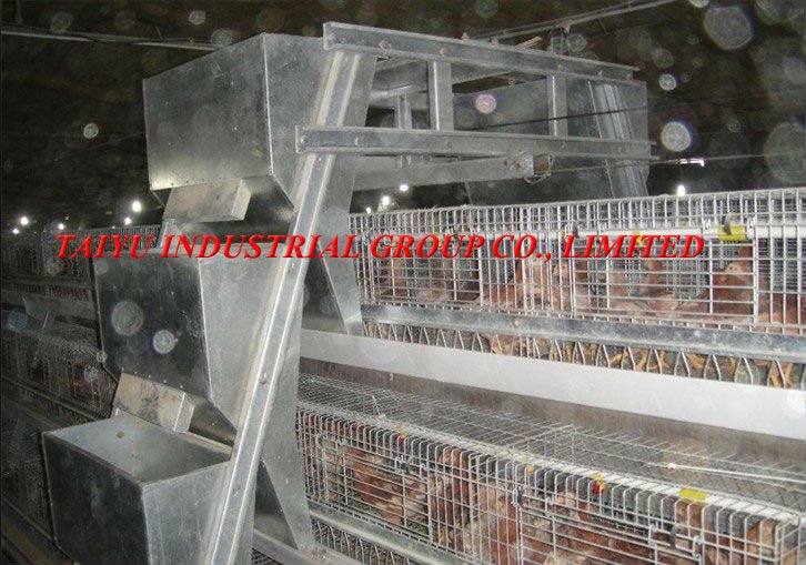 factory egg cage for sale in Nigeria/Africa, View egg cage, Taiyu 