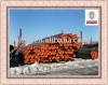 ASTM A106 seamless tubes