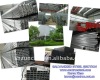 ERW Galvanized Square Tube