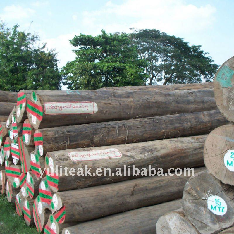 Teak Logs