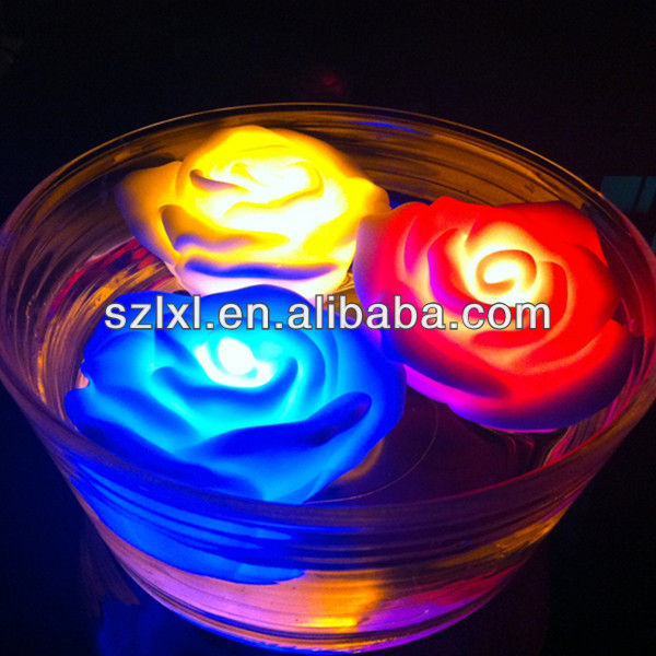 Changing Rose