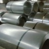 Galvanized Steel Coil / HDGI