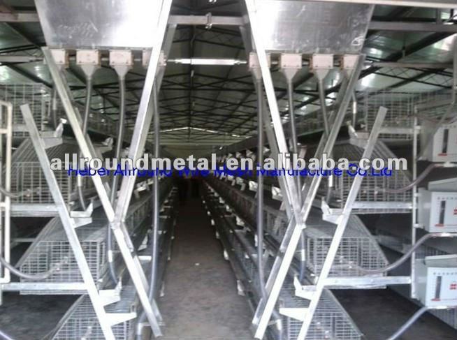 Chicken Farm &amp; Poultry equipment &gt; Chicken broiler farm house