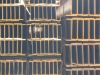 Hot Dipped H Steel