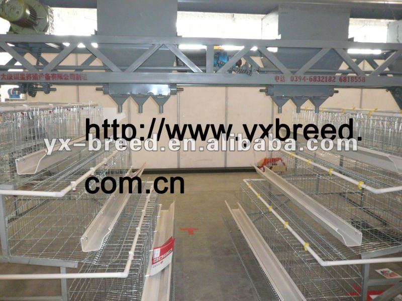 Poultry Farm Design For Shed Layout - Buy Poultry Farm Design,Poultry 
