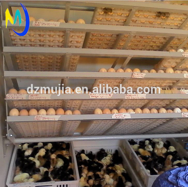  quail egg incubator solar incubator for chicken hot in Africa