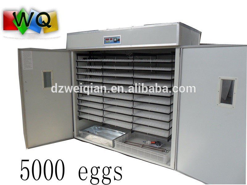 5000 chicken eggs commercial poultry incubator in South Africa, View 