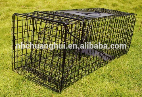 Капкан для кролика Капкан для кролика