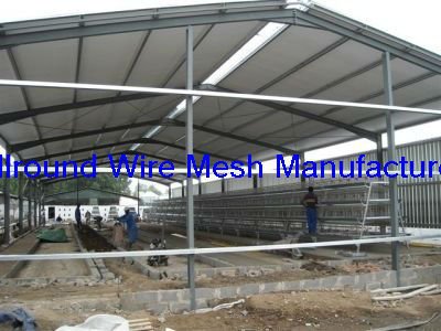 Home &gt; Product Categories &gt; Steel Structure &gt; design poultry farm shed
