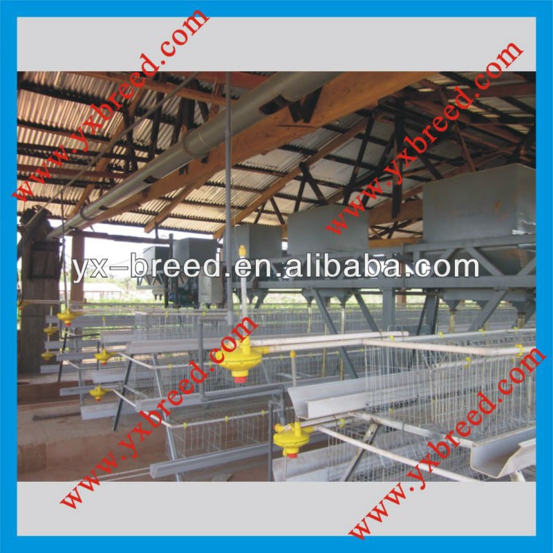 How to make chicken noodle soup from rotisserie chicken, chook sheds