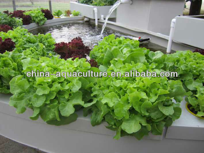 Aquaponic system