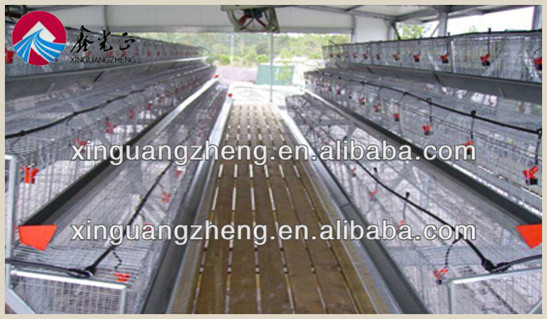 poultry shed construction control design, View poultry shed design ...