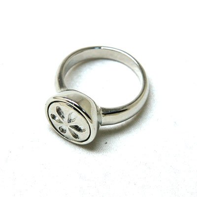 Jewelry Ring on Interchangable Jewelry Ring    Fashion Jewelry