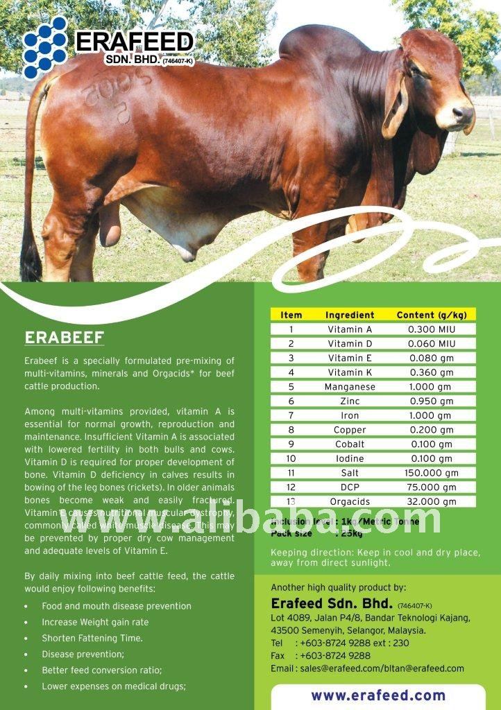 mineral supplements for cattle mineral supplements for cattle