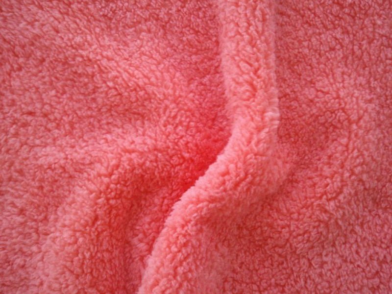 Coral Fleece Fabric