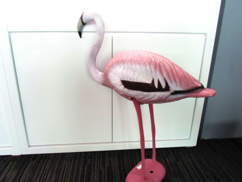 Promotional Plastic Flamingos, Buy Plastic Fla