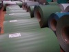 Color Steel (Color Coated Steel Coil,Colored Steel)