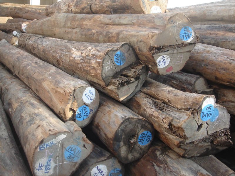 Teak Logs