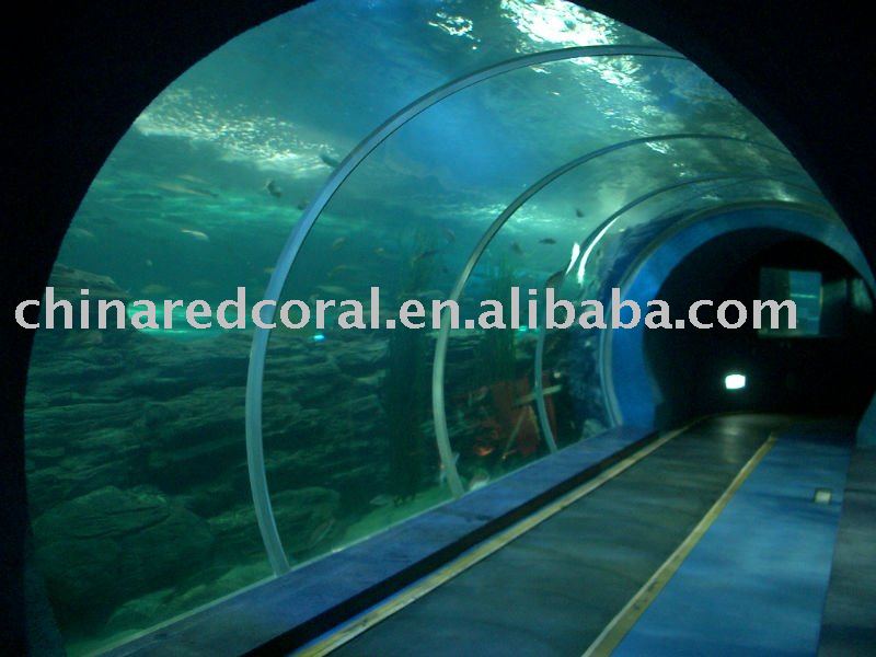 backgrounds for aquariums. aquarium backgrounds(China