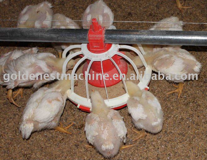 /chicken House - Buy Poultry Shed Equipment,Poultry Farm,Chicken ...
