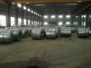 Electric steel coil /50W800