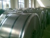 Electric steel coil /50W600