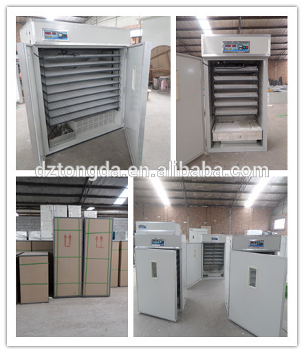/chicken egg incubator hatching machine, View incubator prices india 