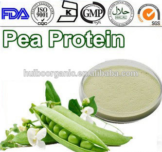 pea protein