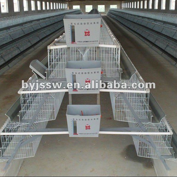 Chicken cages for sale in lahore used