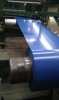 Color Coated Steel Sheet in Coils