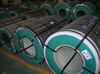 PPGL Steel Coil/Sheet