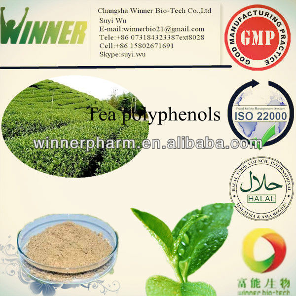 Tea polyphenols/Catechins/Green tea extract powder
