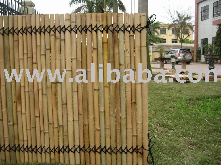 Cercos de bambú - Imagui