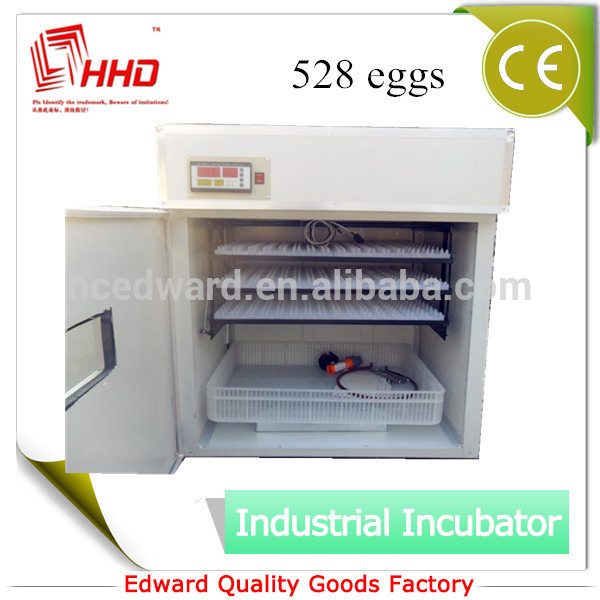 Incubators Egg Machine Conveyor Photo