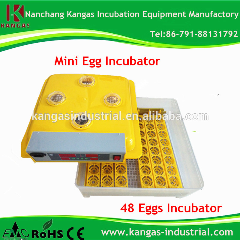 best price egg incubator india, View Egg incubator india, Kangas Egg 