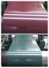 Color Coated Steel Sheet in Coil
