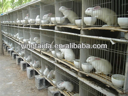 Poultry broker business plan bundle