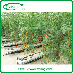 ... Hydroponic Systems,Industrial Hydroponic System,Complete Hydroponic