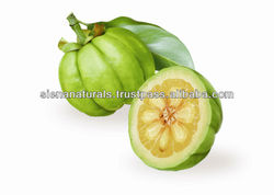 Best Quality Diet Pills Garcinia Cambogia