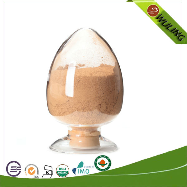 Lucid Ganoderma