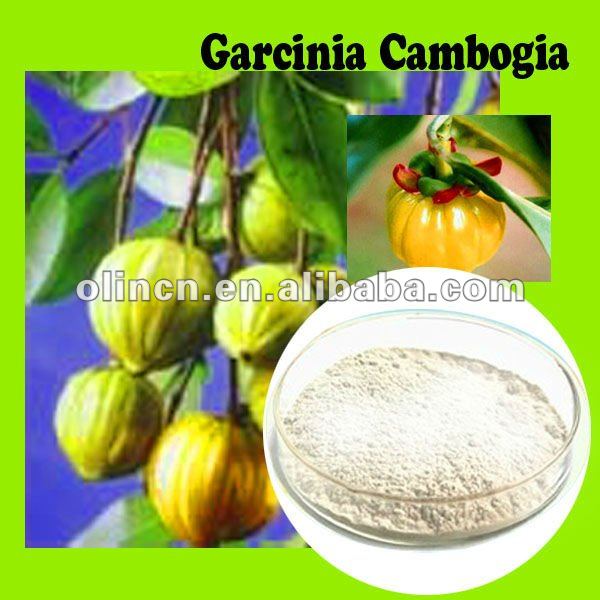 Garcinia Cambogia Extract Powder