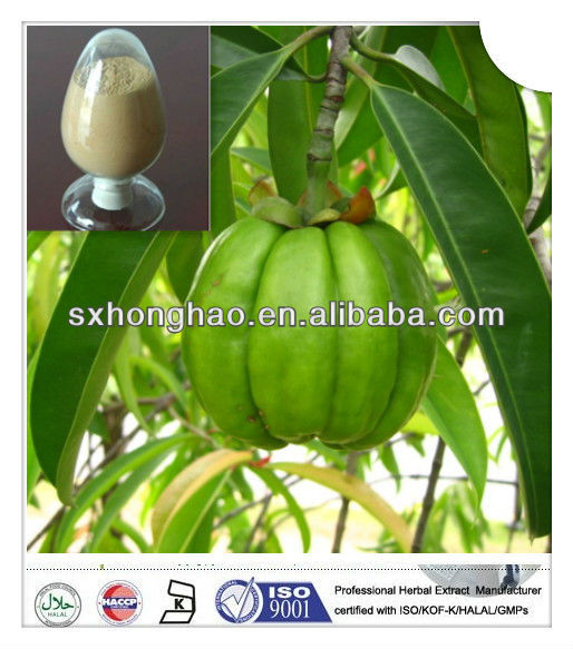 Can You Buy Pure Who Sells Garcinia Cambogia In Stores